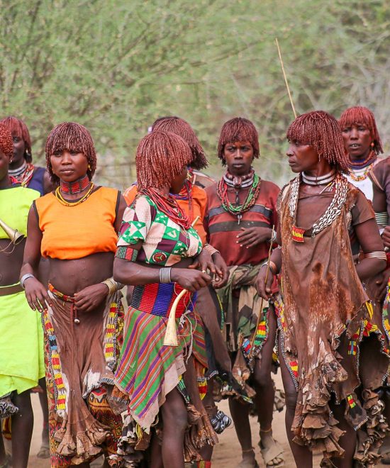 Dream Ethiopia Travel